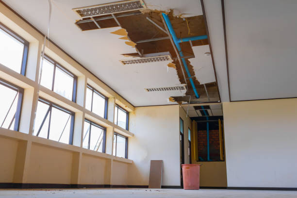 Best Flooded house restoration  in Hurlock, MD