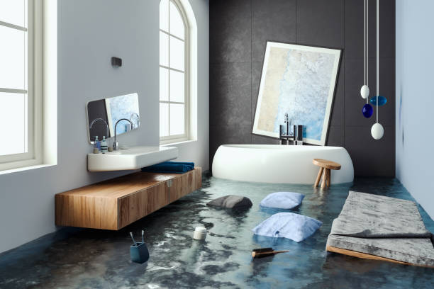 Best Professional water damage repair  in Hurlock, MD