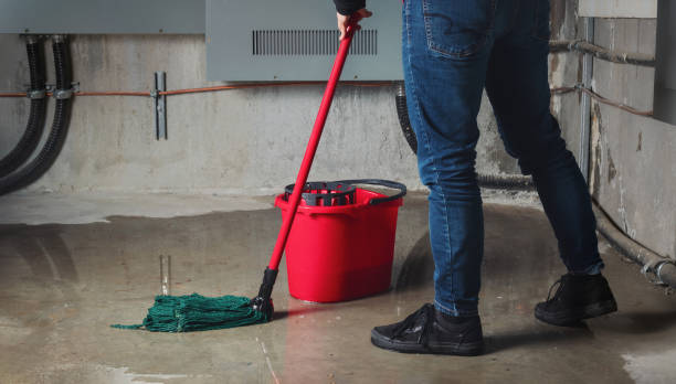 Best 24-hour water damage restoration  in Hurlock, MD