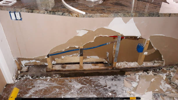 Best Carpet water damage restoration  in Hurlock, MD