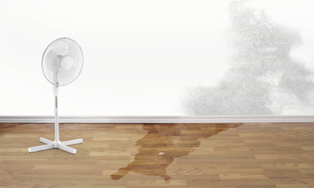 Best Emergency water damage restoration  in Hurlock, MD