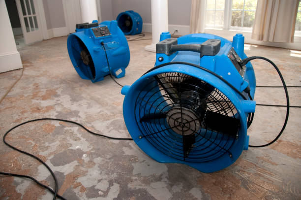 Best Residential water damage restoration  in Hurlock, MD