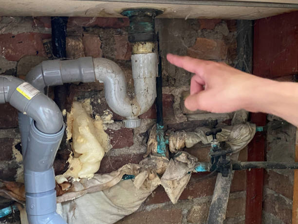 Best Flood restoration services  in Hurlock, MD