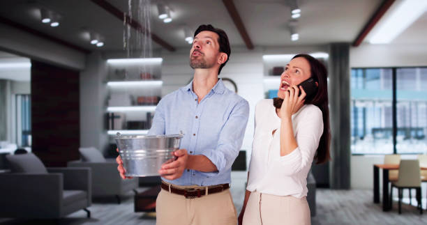 Best Water damage restoration process  in Hurlock, MD