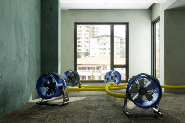 Trusted MD Water damage restoration Experts