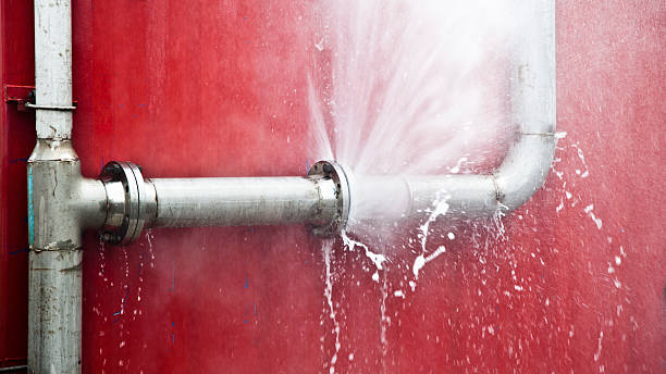 Best Flooded house restoration  in Hurlock, MD